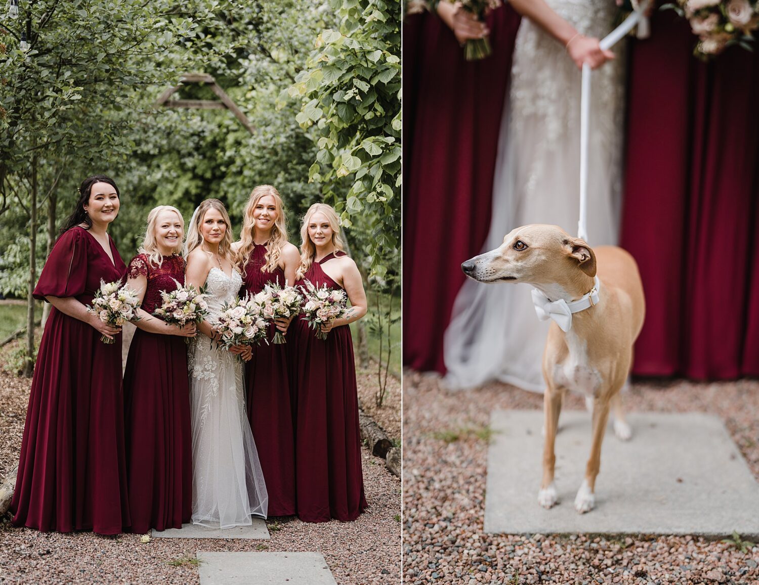 bride with bridesmaids and dog